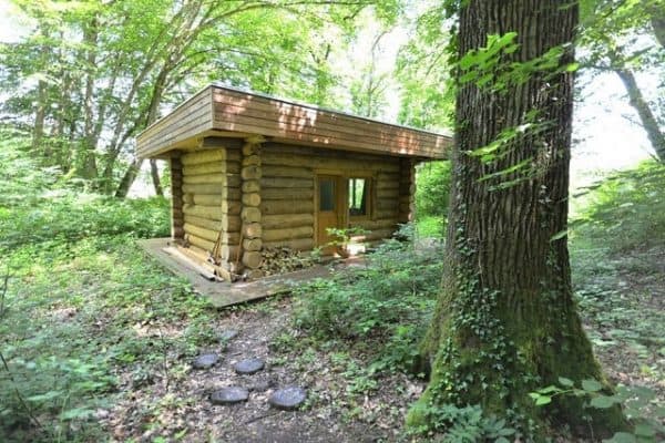 log-cabin-in-the-forest-9