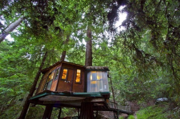 Redwood Treehouse 1